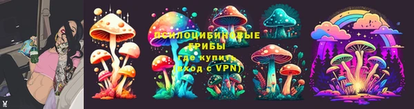 PSILOCYBIN Бородино