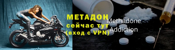 PSILOCYBIN Бородино