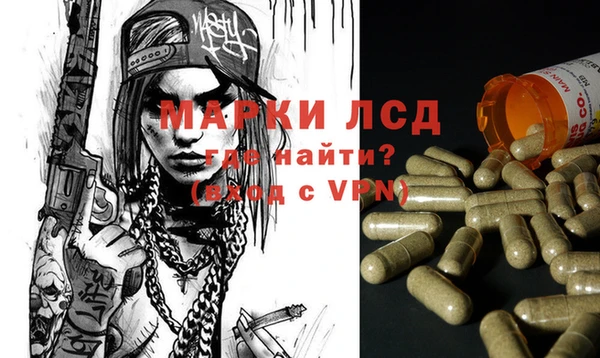 гидра Бугульма