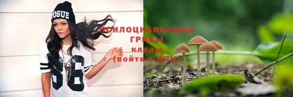 spice Верхний Тагил