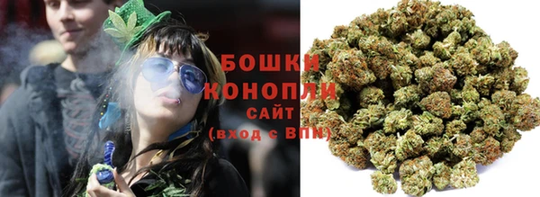 хмурый Тайга