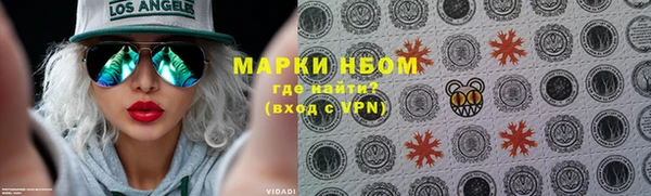 прущие грибы Белая Холуница